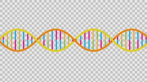 DNA Strand Alpha channel Vidéo 57291366