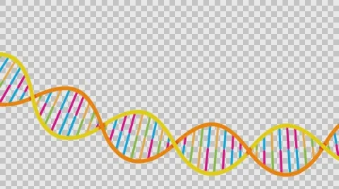DNA Strand Alpha channel Vidéo 57291397