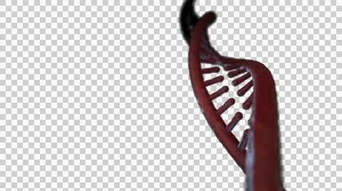 DNA Strand + Alpha Video stock 48032826