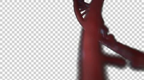 DNA Strand + Alpha Video stock 48035512