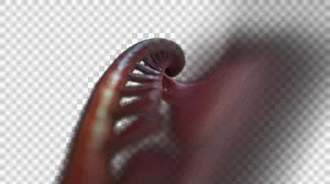 DNA Strand + Alpha Video stock 48036241