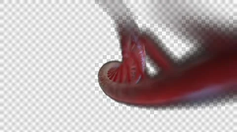 DNA Strand + Alpha Video stock 48036298