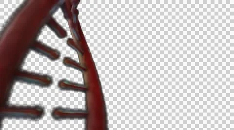DNA Strand + Alpha Video stock 48037983