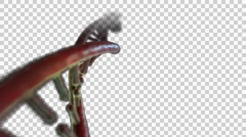 DNA Strand + Alpha Video stock 48038749