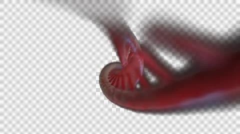 DNA Strand + Alpha Video stock 48039101