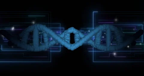 DNA strand and binary coding, scientific data processing animation Stock Footage 306636080