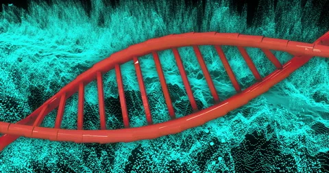 DNA strand and binary coding, scientific data processing Stock Footage 307737014