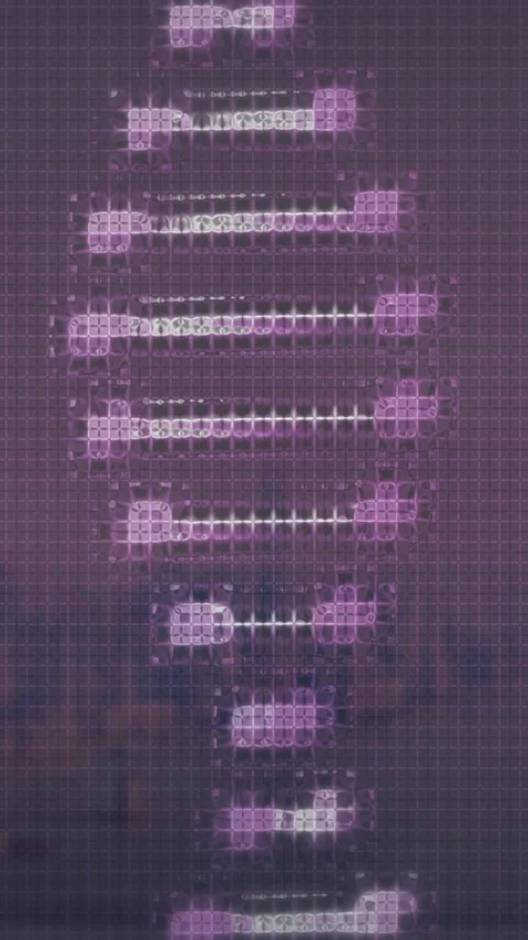 DNA strand and binary coding processing, scientific data animation in laboratory 動画素材 344244660
