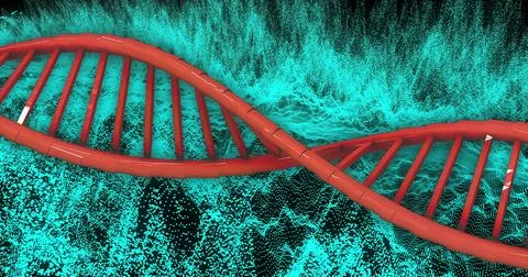 DNA strand and binary coding, scientific data processing イラスト素材
