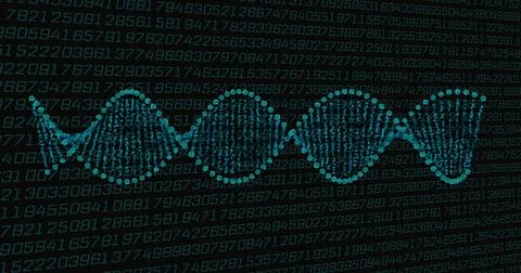 DNA strand and binary coding, scientific data processing Stock Illustration