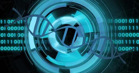 DNA strand and binary coding, scientific data processing image Stock Illustration