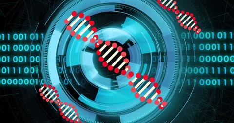 DNA strand and binary coding over futuristic digital interface image Stock Illustration