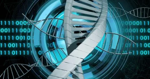 DNA strand and binary coding, scientific data processing image イラスト素材