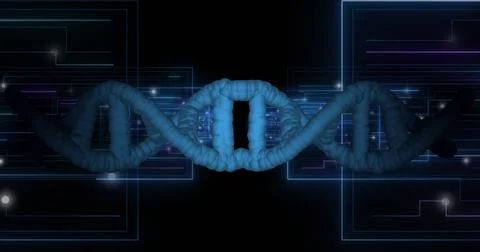 DNA strand and binary coding, scientific data processing image Stock Illustration