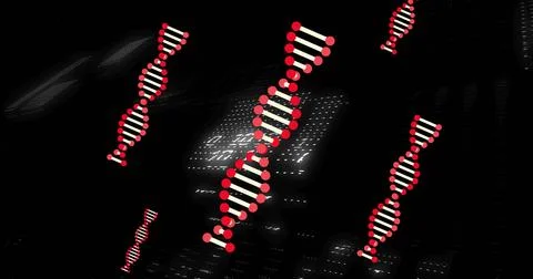 DNA strand and binary coding, scientific data processing image 스톡 일러스트