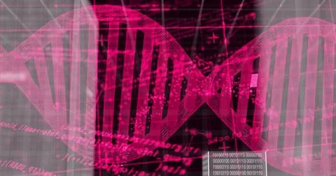 DNA strand and binary coding, scientific data processing image 스톡 일러스트