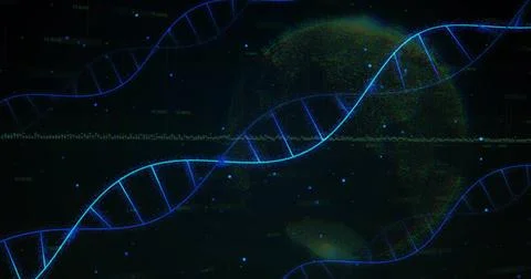 DNA strand and binary coding, scientific data processing image イラスト素材