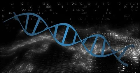 DNA strand and binary coding, scientific data processing image Stock Photos