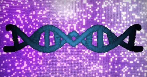 DNA strand and binary coding, scientific data processing image 写真素材