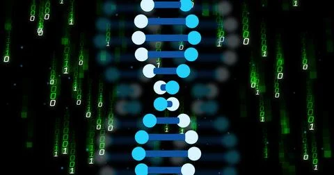 DNA strand and binary coding, scientific data processing image Stock Photos