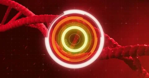 DNA strand and circular interface image over red background Stock Photos