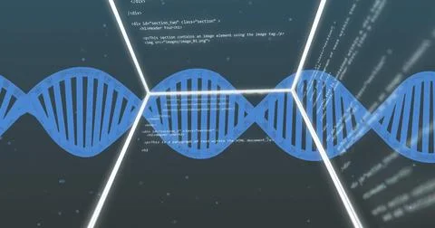 DNA strand and coding data processing image over dark background Stock Photos