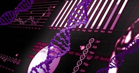 DNA strand and data charts, scientific research image Stock Illustration