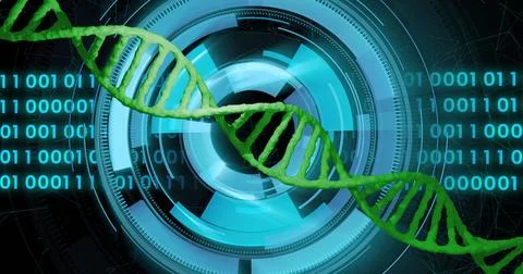 DNA strand and digital interface, scientific data processing image Stock Illustration