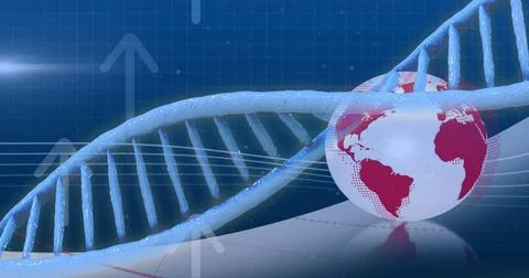 DNA strand and global data analysis image over blue grid background Stock Illustration