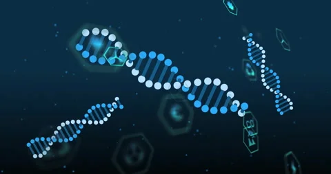 DNA strand and hexagonal shapes, scientific data processing animation Stock Footage 305292737