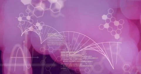 DNA strand and hexagonal shapes over purple background Stock Illustration