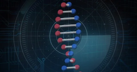 DNA strand and molecular structure animation over scientific data visualization Stock Footage 304192122
