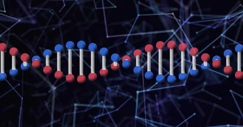 DNA strand and molecular structure image over network of connections 스톡 일러스트