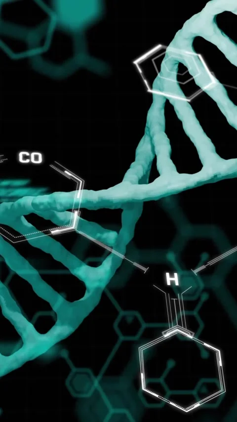 DNA strand and molecular structures, scientific research animation Stock Footage 342997256