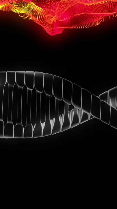 DNA strand and neural network animation over black background Stock Footage 320093698