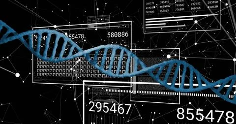 DNA strand and scientific data processing image over black background with Stock Illustration