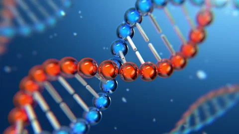 DNA strand animation Stock-Footage 142887026