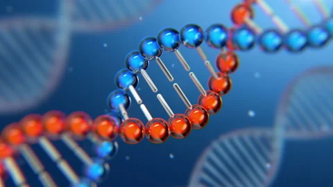 DNA strand animation Stock Footage 142898080
