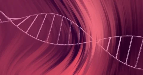 DNA strand animation over abstract red and pink swirling background Stock Footage 307661177