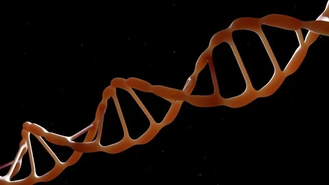 DNA strand. Backlight. The camera flies around the DNA molecule. Genetic Stock Footage 77009023