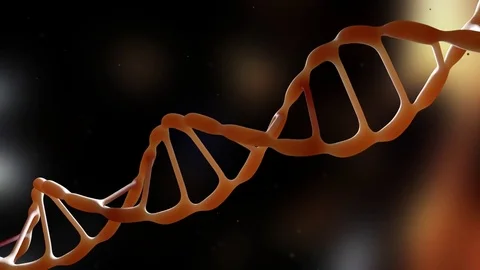 DNA strand. Backlight. The camera flies around the DNA molecule. Genetic Stock Footage 77009057