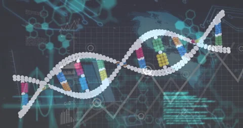 DNA strand with binary coding, processing scientific data in animation style 動画素材 303555619