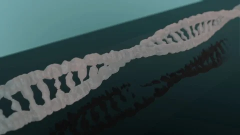 DNA strand on blue background looping 3d animation Stock Footage 123719584