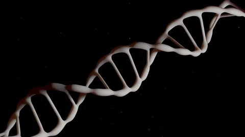 DNA strand. The camera flies around the DNA molecule. Genetic engineering 스톡 동영상 76847482