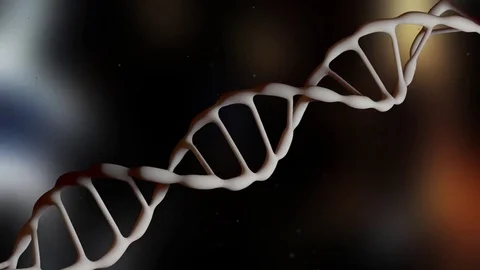 DNA strand. The camera flies around the DNA molecule. Genetic engineering Stock Footage 76847506