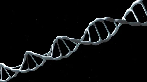 DNA strand. The camera flies around the blue DNA molecule. Genetic engineering Stock Footage 77009075