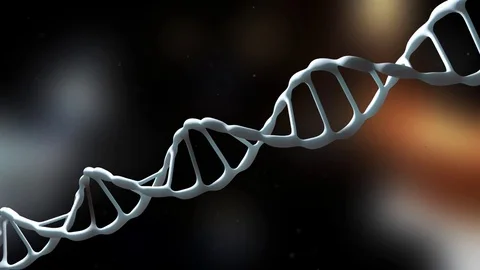 DNA strand. The camera flies around the blue DNA molecule. Genetic engineering Stock Footage 77009102
