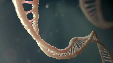 Dna strand double helix model Stock Footage