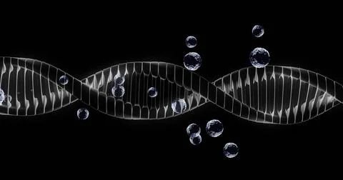 DNA strand with floating bubbles, scientific data processing image Stock Illustration