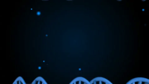 DNA strand fly in. Abstract 3d polygonal wireframe DNA molecule helix spiral. Stock Footage 114244342